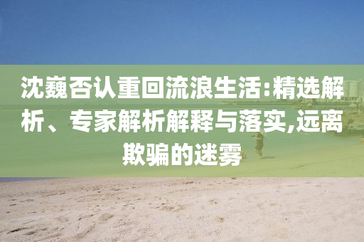 沈巍否認(rèn)重回流浪生活:精選解析、專家解析解釋與落實(shí),遠(yuǎn)離欺騙的迷霧