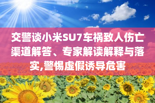 交警談小米SU7車禍致人傷亡渠道解答、專家解讀解釋與落實(shí),警惕虛假誘導(dǎo)危害