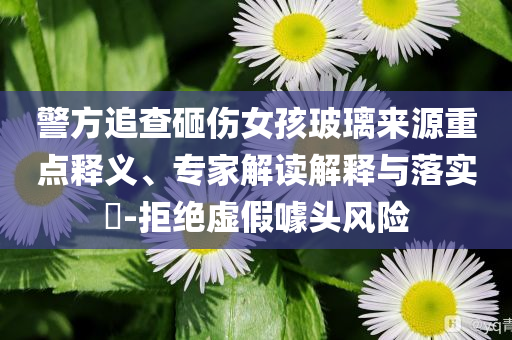 警方追查砸傷女孩玻璃來源重點釋義、專家解讀解釋與落實?-拒絕虛假噱頭風險