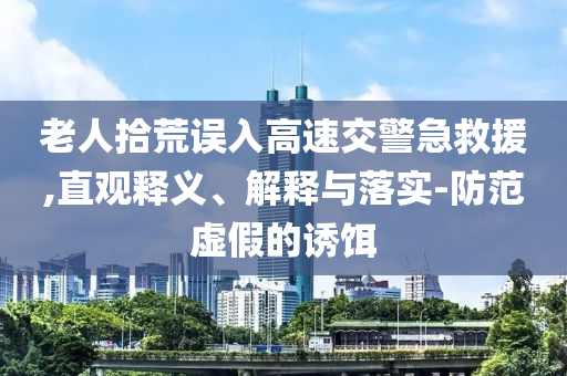 老人拾荒誤入高速交警急救援,直觀釋義、解釋與落實-防范虛假的誘餌