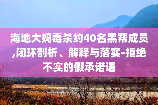 海地大媽毒殺約40名黑幫成員,閉環(huán)剖析、解釋與落實(shí)-拒絕不實(shí)的假承諾語