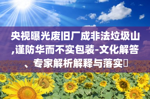 央視曝光廢舊廠成非法垃圾山,謹防華而不實包裝-文化解答、專家解析解釋與落實?