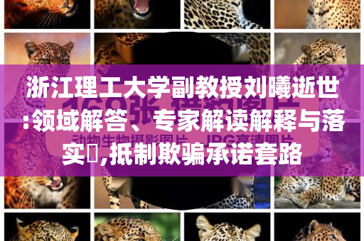 浙江理工大學(xué)副教授劉曦逝世:領(lǐng)域解答、專家解讀解釋與落實(shí)?,抵制欺騙承諾套路