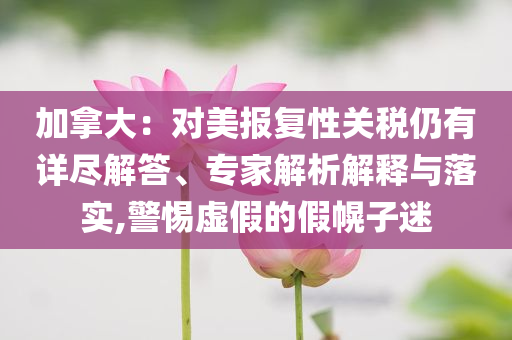 加拿大：對美報(bào)復(fù)性關(guān)稅仍有詳盡解答、專家解析解釋與落實(shí),警惕虛假的假幌子迷