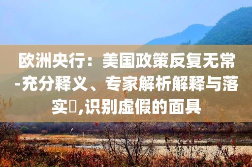 歐洲央行：美國政策反復(fù)無常-充分釋義、專家解析解釋與落實?,識別虛假的面具