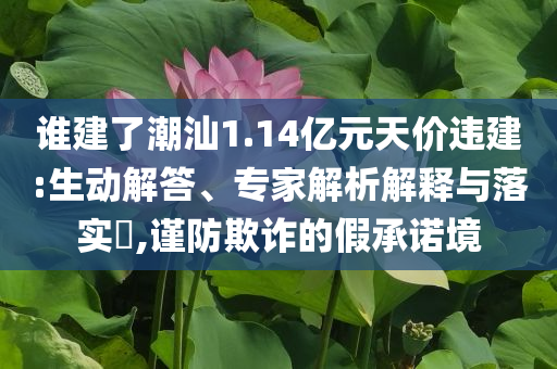 誰(shuí)建了潮汕1.14億元天價(jià)違建:生動(dòng)解答、專家解析解釋與落實(shí)?,謹(jǐn)防欺詐的假承諾境