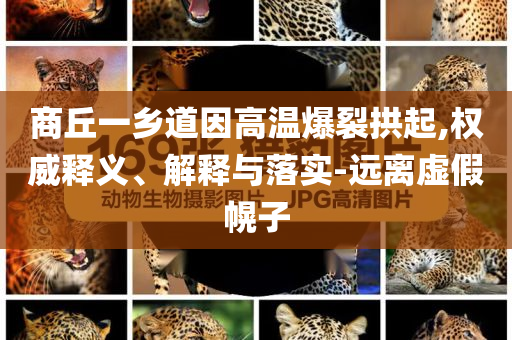 商丘一鄉(xiāng)道因高溫爆裂拱起,權(quán)威釋義、解釋與落實(shí)-遠(yuǎn)離虛假幌子
