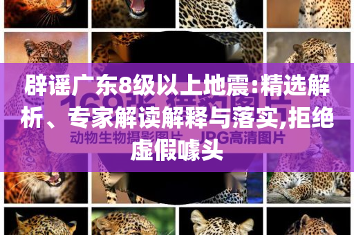 辟謠廣東8級以上地震:精選解析、專家解讀解釋與落實,拒絕虛假噱頭