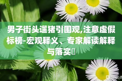 男子街頭遛豬引圍觀,注意虛假標(biāo)榜-宏觀釋義、專家解讀解釋與落實(shí)?