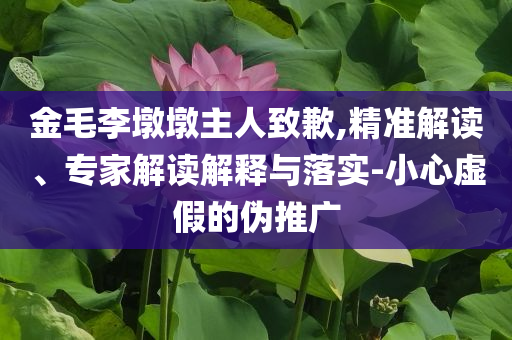 金毛李墩墩主人致歉,精準(zhǔn)解讀、專家解讀解釋與落實(shí)-小心虛假的偽推廣