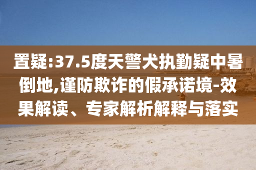 置疑:37.5度天警犬執(zhí)勤疑中暑倒地,謹防欺詐的假承諾境-效果解讀、專家解析解釋與落實
