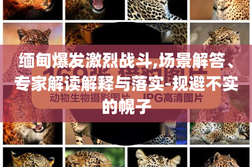 緬甸爆發(fā)激烈戰(zhàn)斗,場景解答、專家解讀解釋與落實-規(guī)避不實的幌子
