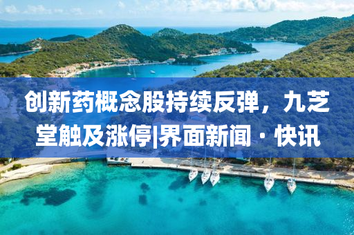 創(chuàng)新藥概念股持續(xù)反彈，九芝堂觸及漲停|界面新聞 · 快訊
