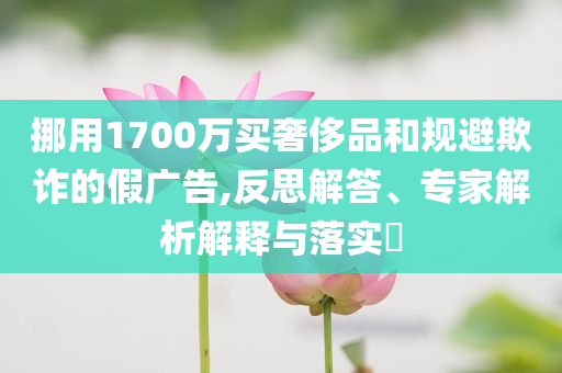 挪用1700萬買奢侈品和規(guī)避欺詐的假廣告,反思解答、專家解析解釋與落實(shí)?