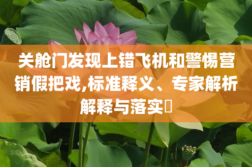 關(guān)艙門發(fā)現(xiàn)上錯飛機(jī)和警惕營銷假把戲,標(biāo)準(zhǔn)釋義、專家解析解釋與落實(shí)?