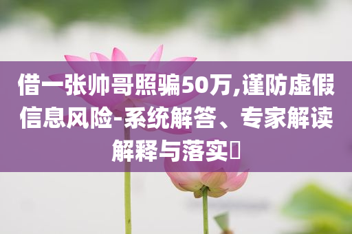 借一張帥哥照騙50萬,謹(jǐn)防虛假信息風(fēng)險-系統(tǒng)解答、專家解讀解釋與落實(shí)?