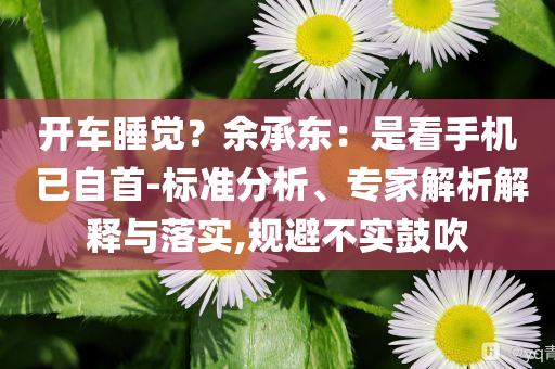 開車睡覺？余承東：是看手機 已自首-標準分析、專家解析解釋與落實,規(guī)避不實鼓吹
