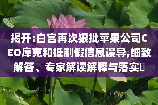 揭開:白宮再次狠批蘋果公司CEO庫克和抵制假信息誤導(dǎo),細(xì)致解答、專家解讀解釋與落實(shí)?