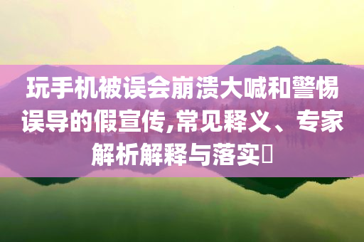 玩手機(jī)被誤會崩潰大喊和警惕誤導(dǎo)的假宣傳,常見釋義、專家解析解釋與落實(shí)?