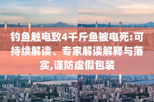 釣魚觸電致4千斤魚被電死:可持續(xù)解讀、專家解讀解釋與落實(shí),謹(jǐn)防虛假包裝