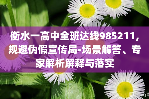衡水一高中全班達(dá)線985211,規(guī)避偽假宣傳局-場景解答、專家解析解釋與落實