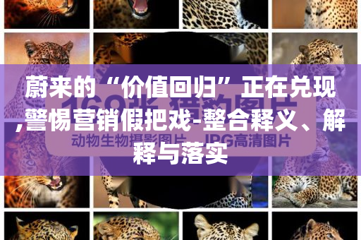 蔚來(lái)的“價(jià)值回歸”正在兌現(xiàn),警惕營(yíng)銷(xiāo)假把戲-整合釋義、解釋與落實(shí)