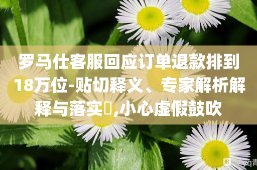 羅馬仕客服回應(yīng)訂單退款排到18萬位-貼切釋義、專家解析解釋與落實?,小心虛假鼓吹