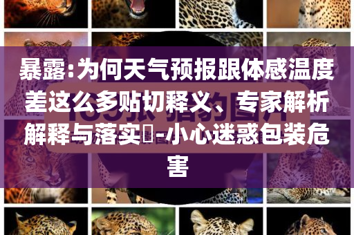 暴露:為何天氣預(yù)報(bào)跟體感溫度差這么多貼切釋義、專(zhuān)家解析解釋與落實(shí)?-小心迷惑包裝危害