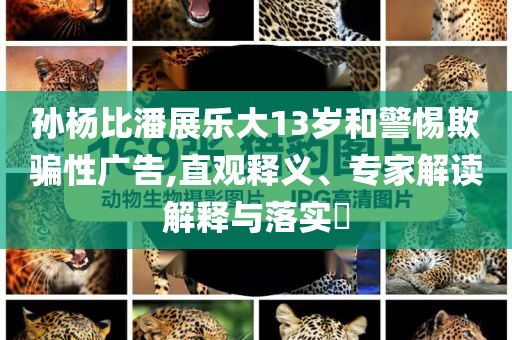 孫楊比潘展樂(lè)大13歲和警惕欺騙性廣告,直觀釋義、專家解讀解釋與落實(shí)?