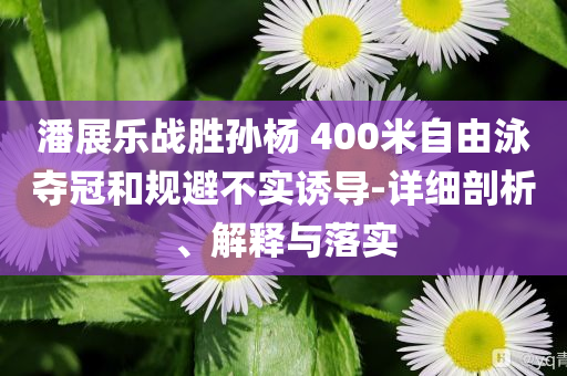 潘展樂戰(zhàn)勝孫楊 400米自由泳奪冠和規(guī)避不實(shí)誘導(dǎo)-詳細(xì)剖析、解釋與落實(shí)