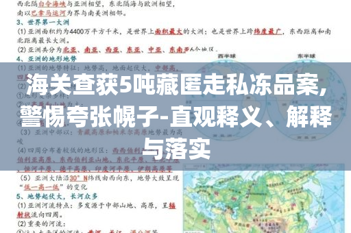 海關(guān)查獲5噸藏匿走私凍品案,警惕夸張幌子-直觀釋義、解釋與落實(shí)
