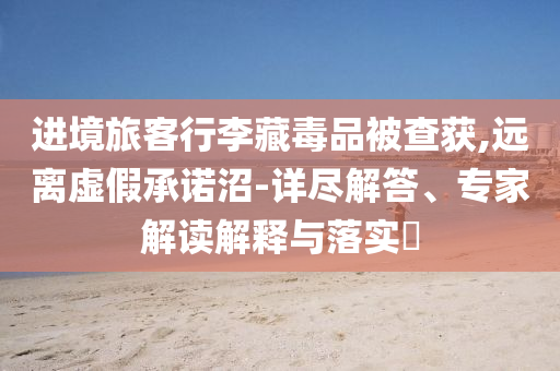 進(jìn)境旅客行李藏毒品被查獲,遠(yuǎn)離虛假承諾沼-詳盡解答、專家解讀解釋與落實(shí)?
