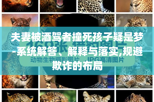 夫妻被酒駕者撞死孩子疑是夢-系統(tǒng)解答、解釋與落實(shí),規(guī)避欺詐的布局