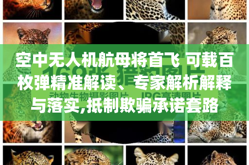 空中無人機(jī)航母將首飛 可載百枚彈精準(zhǔn)解讀、專家解析解釋與落實(shí),抵制欺騙承諾套路