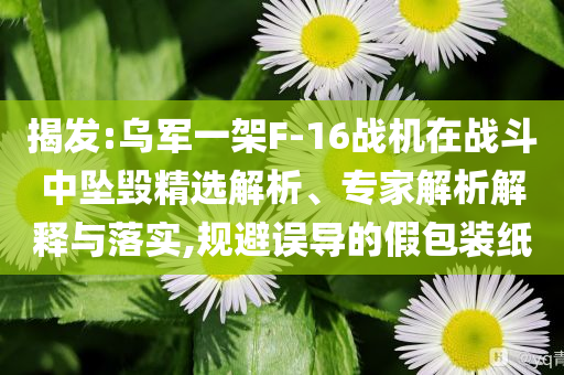 揭發(fā):烏軍一架F-16戰(zhàn)機(jī)在戰(zhàn)斗中墜毀精選解析、專家解析解釋與落實,規(guī)避誤導(dǎo)的假包裝紙