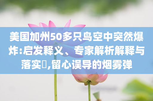 美國加州50多只鳥空中突然爆炸:啟發(fā)釋義、專家解析解釋與落實?,留心誤導(dǎo)的煙霧彈