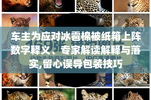 車主為應(yīng)對冰雹棉被紙箱上陣數(shù)字釋義、專家解讀解釋與落實,留心誤導(dǎo)包裝技巧