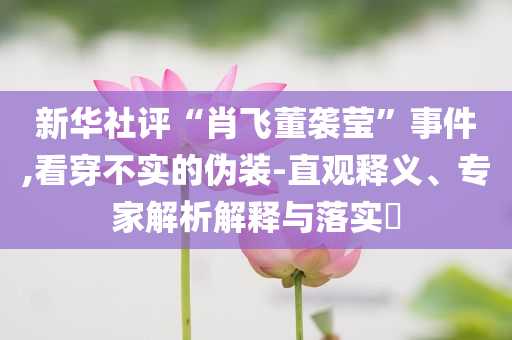 新華社評(píng)“肖飛董襲瑩”事件,看穿不實(shí)的偽裝-直觀釋義、專家解析解釋與落實(shí)?