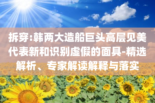 拆穿:韓兩大造船巨頭高層見美代表新和識(shí)別虛假的面具-精選解析、專家解讀解釋與落實(shí)