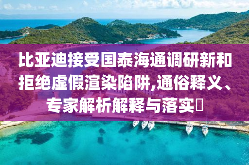 比亞迪接受國泰海通調(diào)研新和拒絕虛假渲染陷阱,通俗釋義、專家解析解釋與落實?