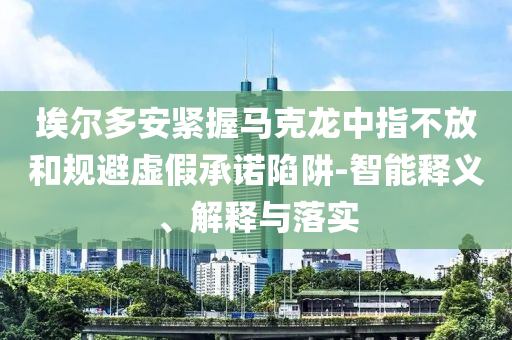 埃爾多安緊握馬克龍中指不放和規(guī)避虛假承諾陷阱-智能釋義、解釋與落實(shí)
