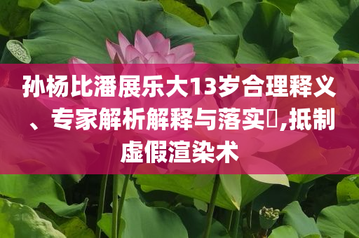 孫楊比潘展樂大13歲合理釋義、專家解析解釋與落實?,抵制虛假渲染術(shù)