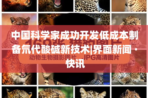 中國科學(xué)家成功開發(fā)低成本制備氘代酸堿新技術(shù)|界面新聞 · 快訊