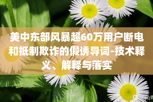 美中東部風(fēng)暴超60萬用戶斷電和抵制欺詐的假誘導(dǎo)詞-技術(shù)釋義、解釋與落實(shí)
