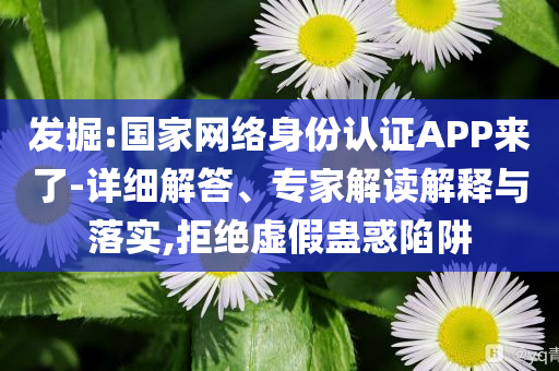 發(fā)掘:國家網(wǎng)絡(luò)身份認(rèn)證APP來了-詳細(xì)解答、專家解讀解釋與落實(shí),拒絕虛假蠱惑陷阱