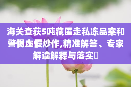 海關查獲5噸藏匿走私凍品案和警惕虛假炒作,精準解答、專家解讀解釋與落實?