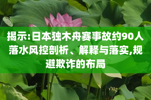 揭示:日本獨木舟賽事故約90人落水風(fēng)控剖析、解釋與落實,規(guī)避欺詐的布局