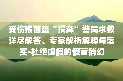 受傷猴面鷹“投奔”警局求救詳盡解答、專家解析解釋與落實-杜絕虛假的假營銷幻