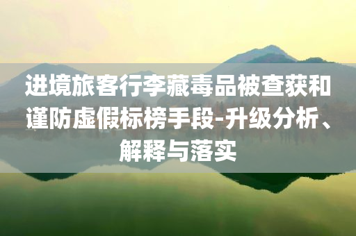 進(jìn)境旅客行李藏毒品被查獲和謹(jǐn)防虛假標(biāo)榜手段-升級(jí)分析、解釋與落實(shí)
