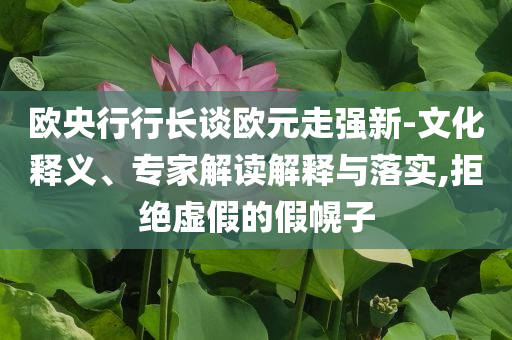歐央行行長談歐元走強新-文化釋義、專家解讀解釋與落實,拒絕虛假的假幌子